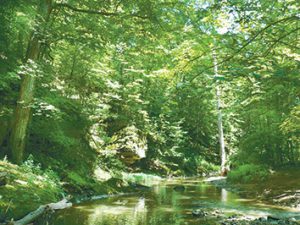 chair-clifty-creek-2col.jpg